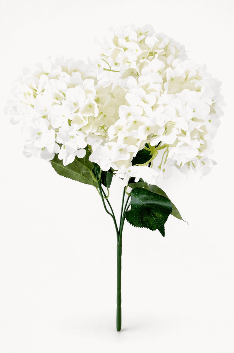 Flowers & Faux Plants