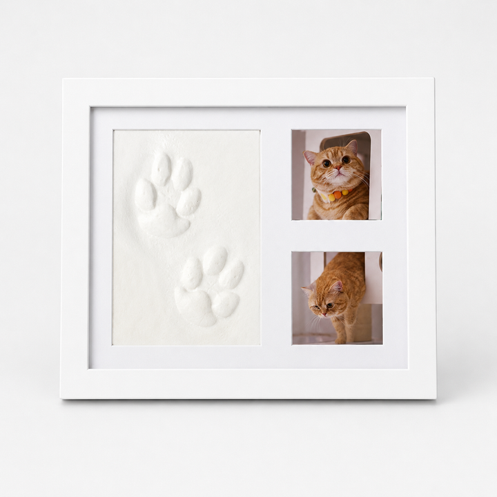 Littlecast – Pet Paw Print Photo Frame Kit