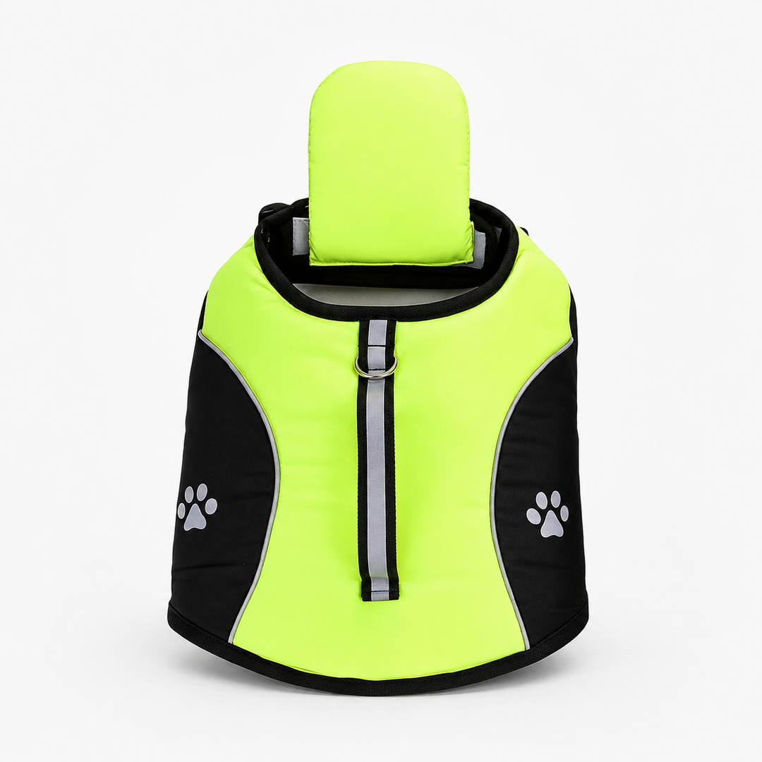Floatpup – The Life Vest That Floats Him Level, Not His Chin