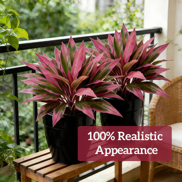 Verdara™ – Vibrant Faux Cordyline Plant Set