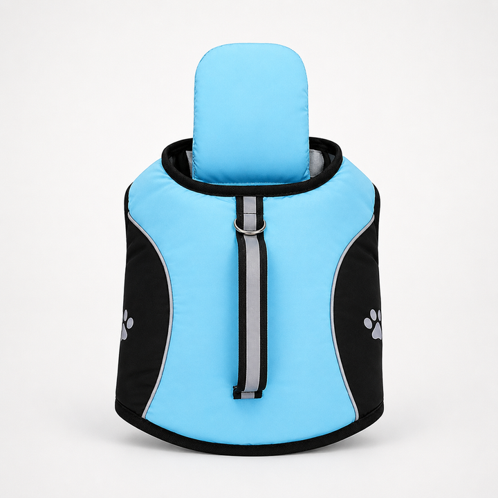 Floatpup – The Life Vest That Floats Him Level, Not His Chin