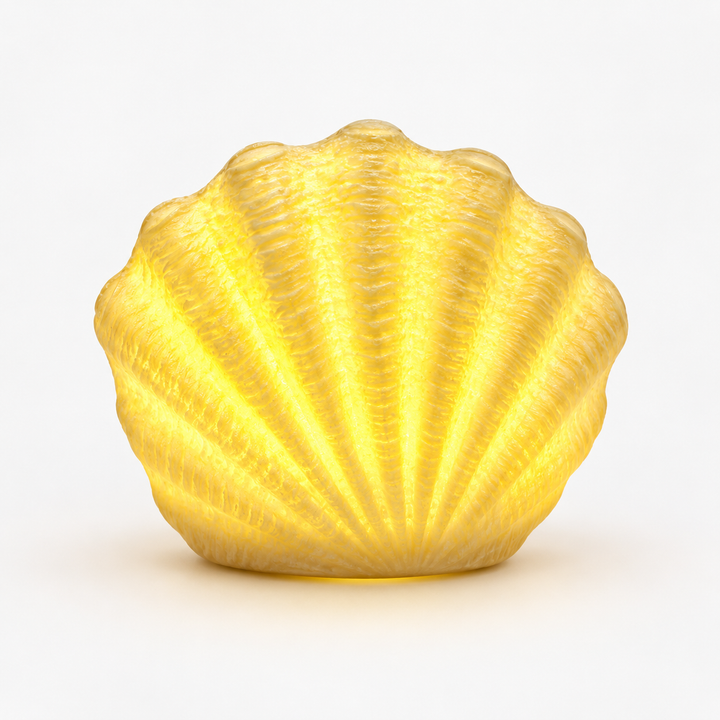 Coastal Glow Co. – Ceramic Shell And Conch Ambient Lamp Set