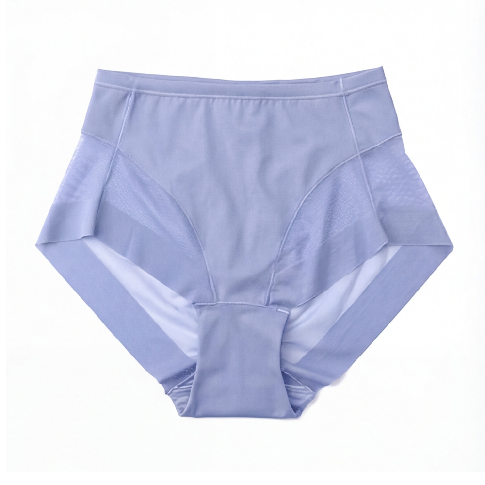 Wearbella™ – Seamless Mesh Panel Everyday Panties