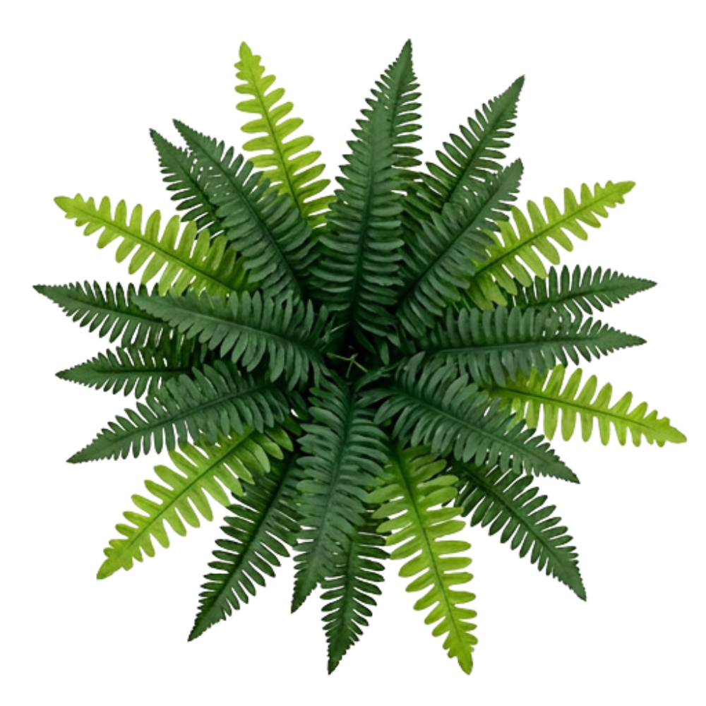 Fernly™ – Realistic Artificial Boston Fern