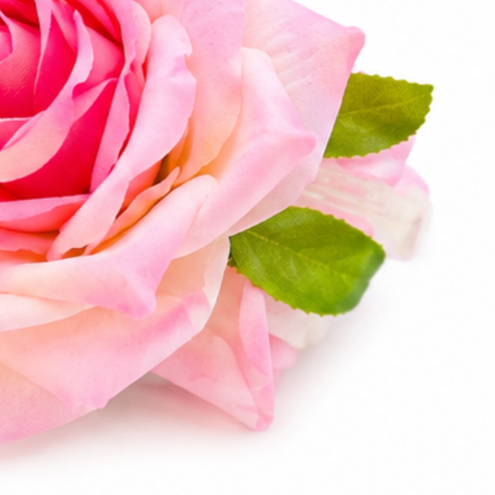 Petalyn – Fabric Rose Claw Clip (2-pack)