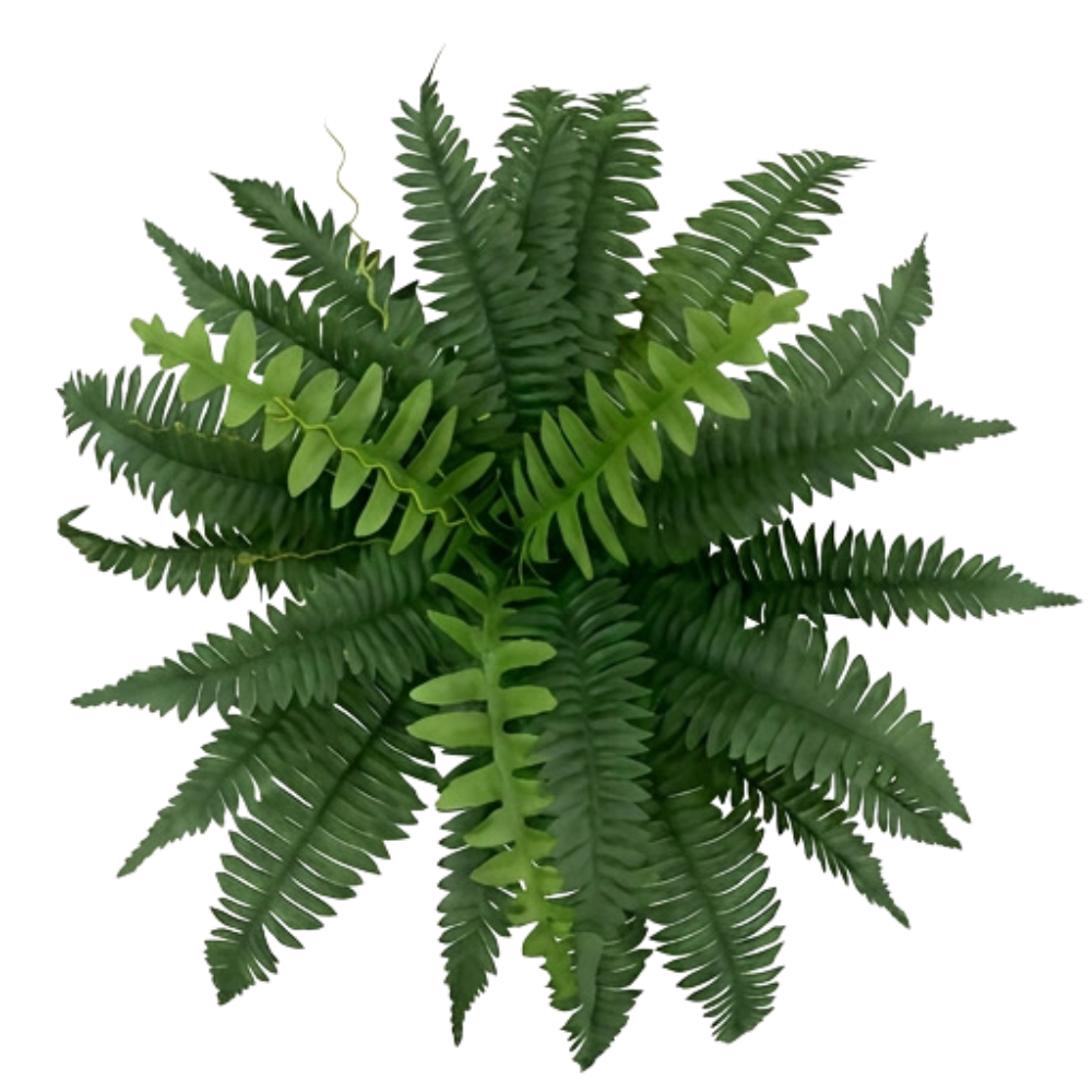 Fernly™ – Realistic Artificial Boston Fern