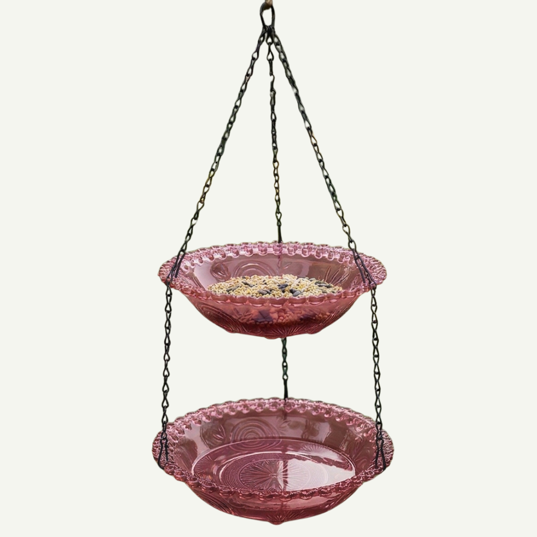 Avielle™ – Vintage Hanging Bird Feeder and Bath