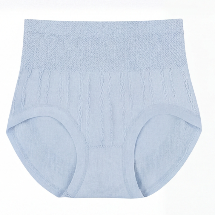SleekHips™ – High Waisted Leakproof Panties