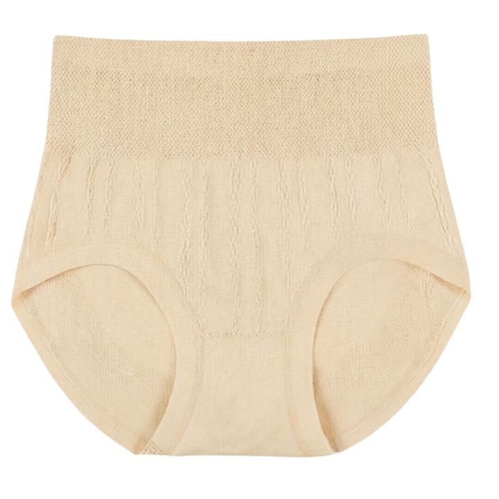 SleekHips™ – High Waisted Leakproof Panties