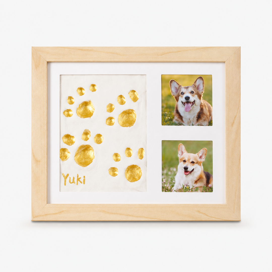 Littlecast – Pet Paw Print Photo Frame Kit