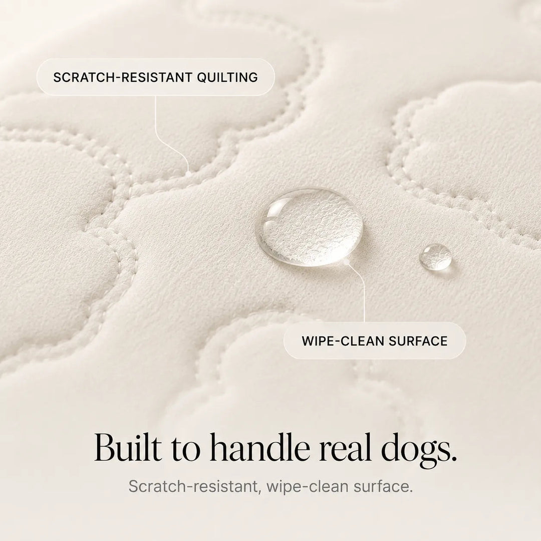Coolava – Instant Cooling Pet Mat for Dogs and Cats, Scratch-Resistant