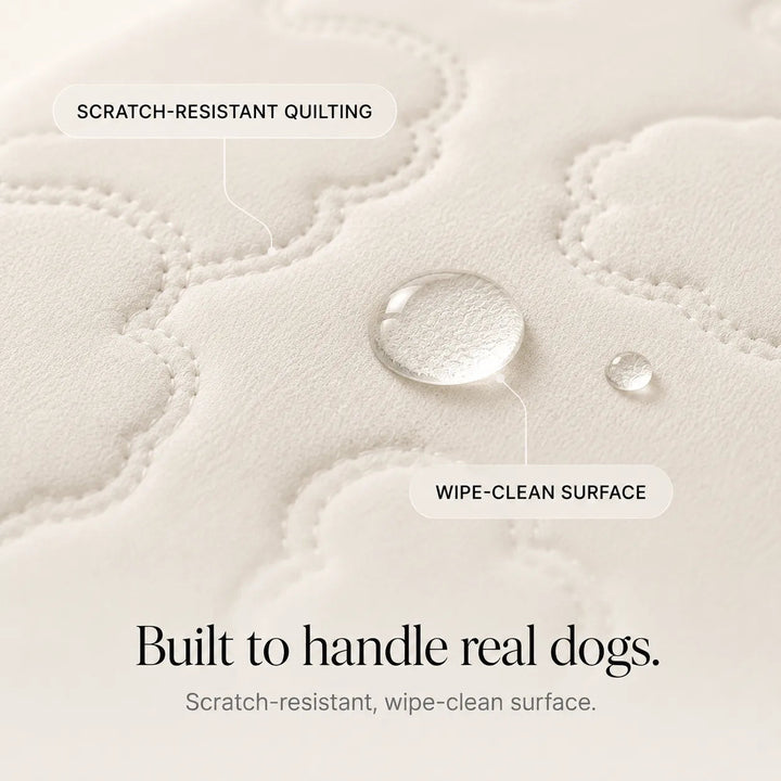 Coolava – Instant Cooling Pet Mat for Dogs and Cats, Scratch-Resistant