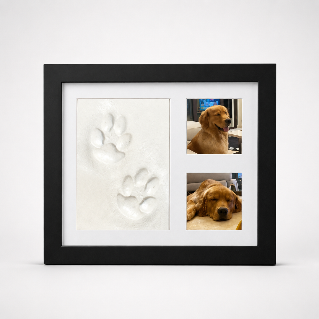 Littlecast – Pet Paw Print Photo Frame Kit