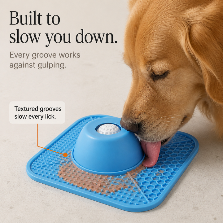 Purrfecto – Textured Slow-Feeding Dog Mat