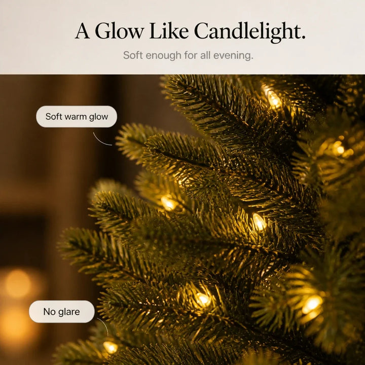 Fablewood – Illuminated Pine Tree