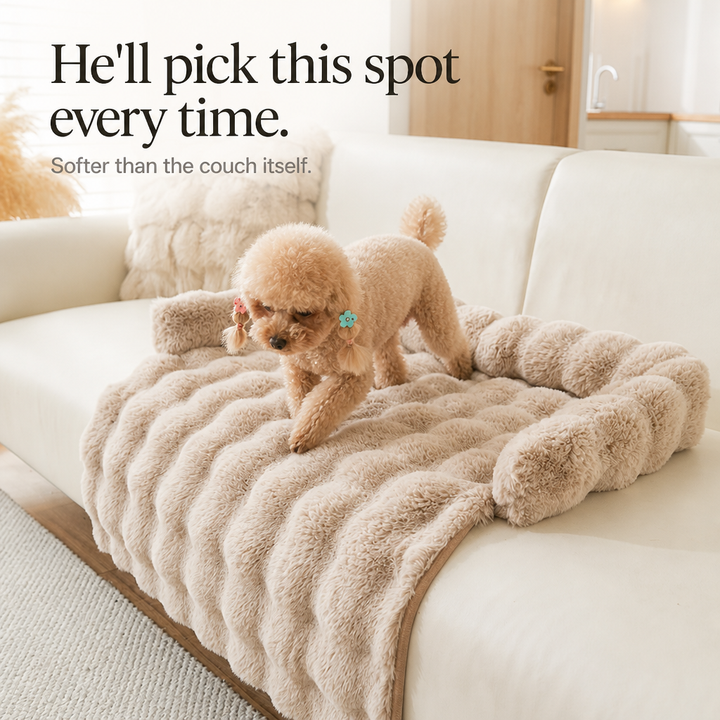 CozyHaven – Plush Bolster Sofa Pet Mat