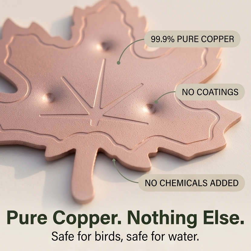Coppera™ — Copper Leaf Bird Bath Purifier for Algae