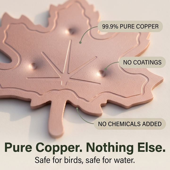 Coppera™ — Copper Leaf Bird Bath Purifier for Algae