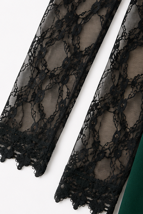 Coverlyn – Cowl Neck Lace Sleeve A-Line Dress
