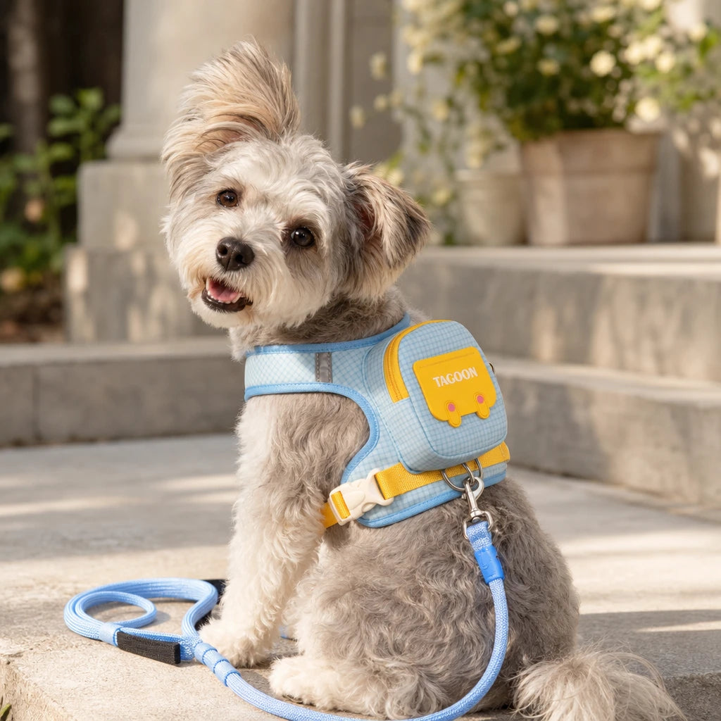 Walkwell – Mini Backpack Dog Harness