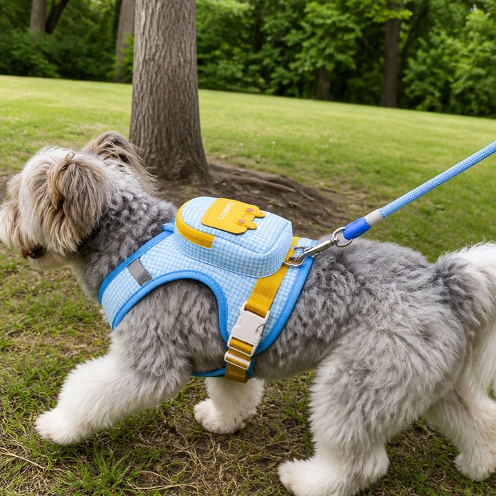 Walkwell – Mini Backpack Dog Harness