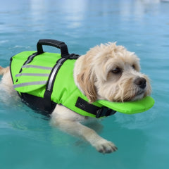 Angelfloat – The Vest That Keeps His Chin Up In Water