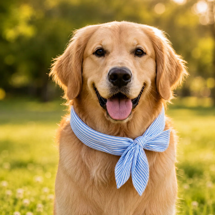 Coolpup – Reusable Cooling Bandana for Dogs, No-Freezer Summer Neck Wrap