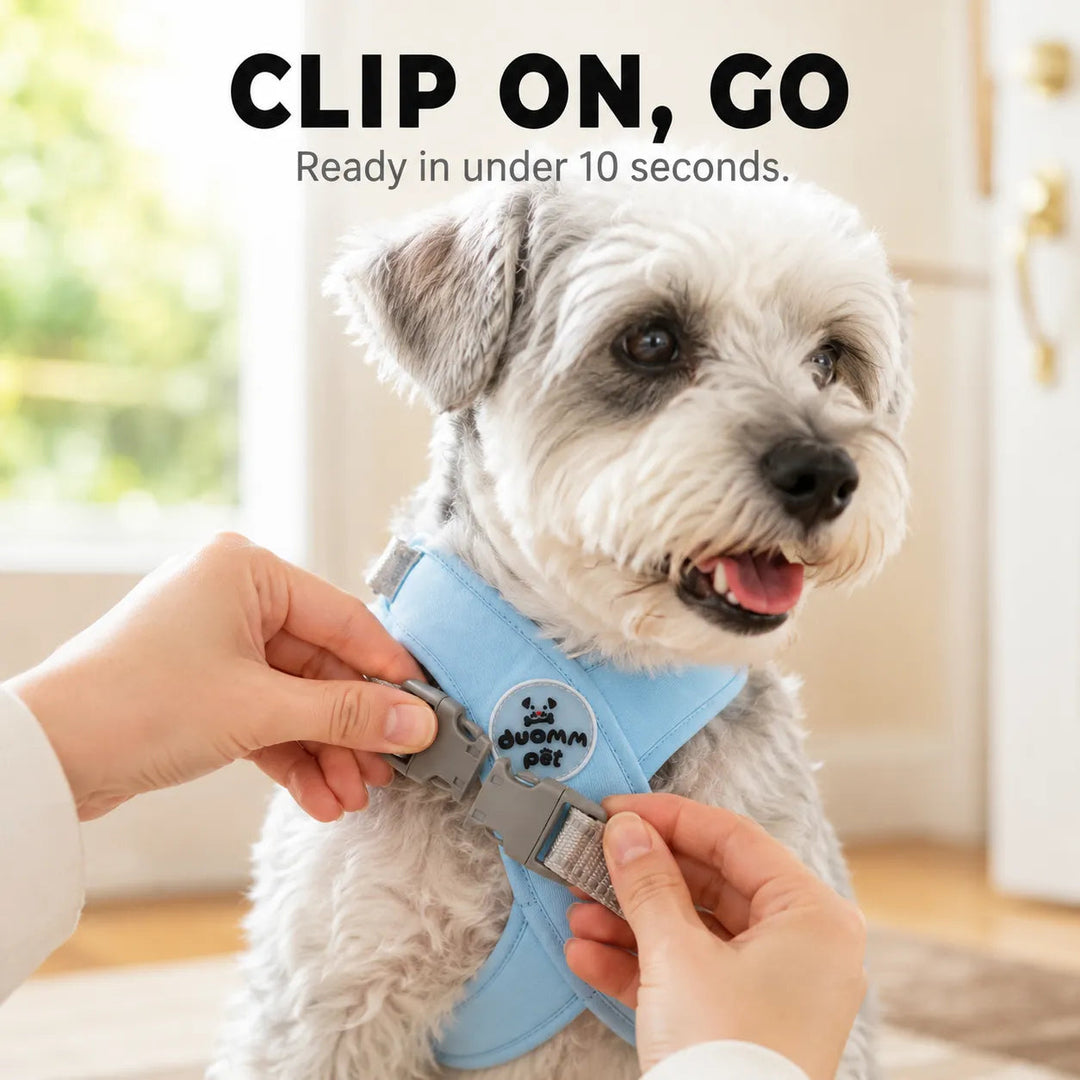 Pawlyn – X Frame No Pull Dog Harness and Leash Set for Small Breeds