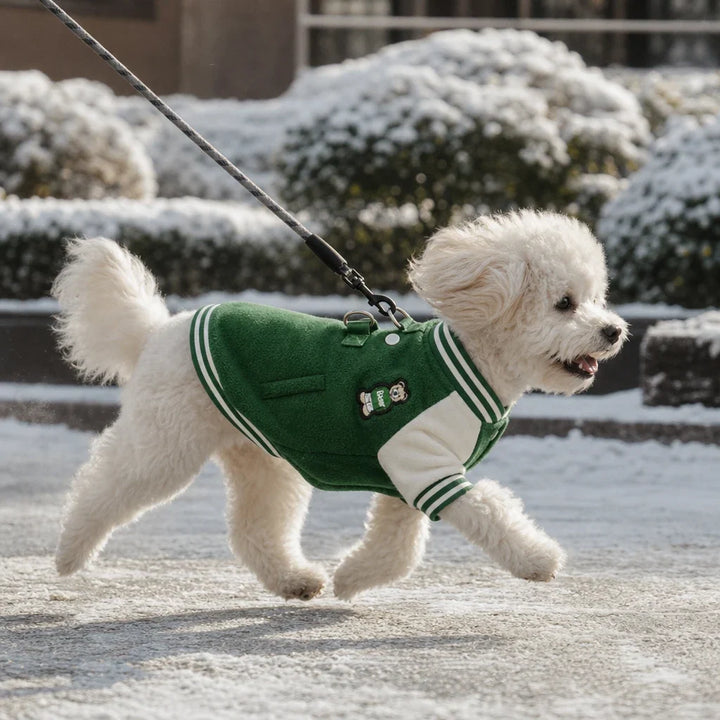 Pawswell – Varsity Snap-Front Dog Jacket