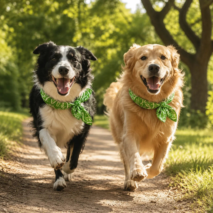 Coolpup – Reusable Cooling Bandana for Dogs, No-Freezer Summer Neck Wrap
