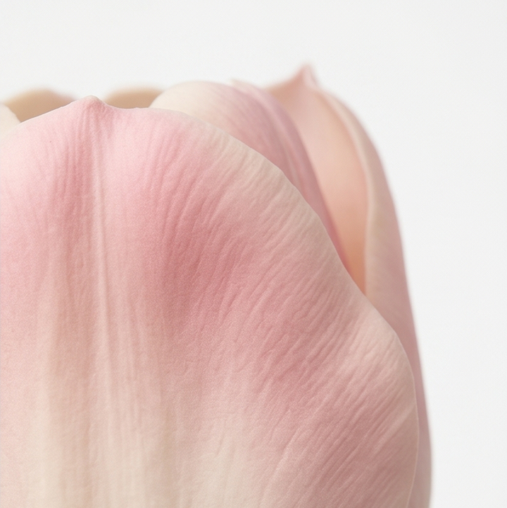 Lumora™ – Real Touch Tulip Bouquet