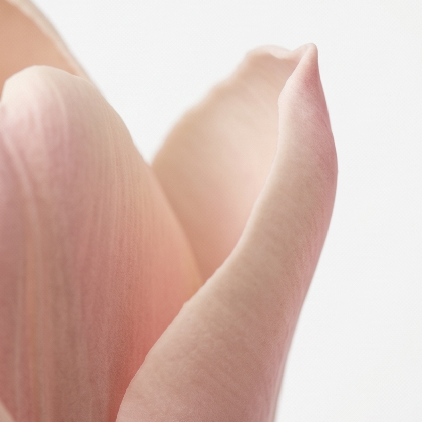Lumora™ – Real Touch Tulip Bouquet