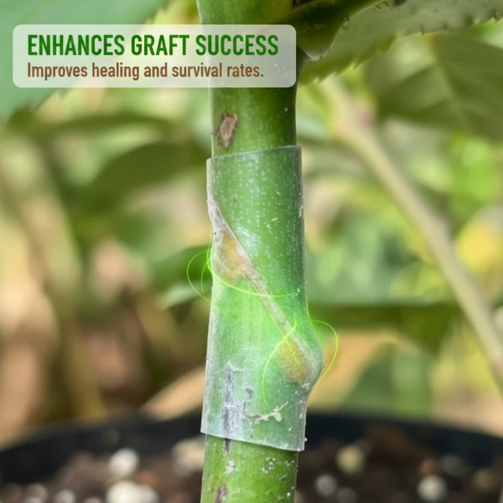 Graftex™ Slide On Grafting Sleeves for Fruit Trees (50pcs)
