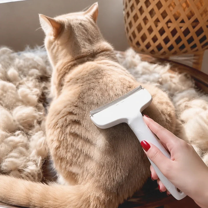Shedwell – Metal-Tooth Cat Deshedding Brush