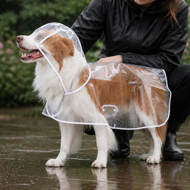 Rainveil – Transparent EVA Dog Raincoat With See-Through Hood